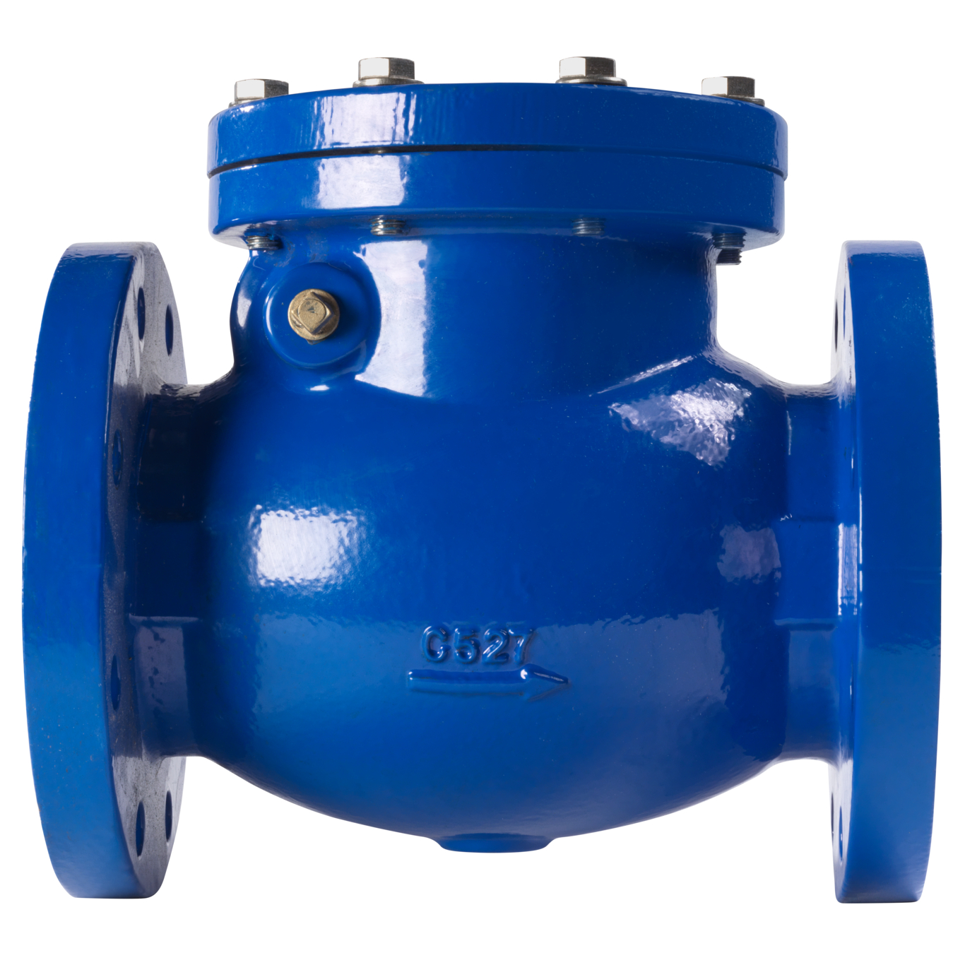 Swing_check_valve-6_0390030